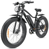 isinwheel M10Plus Electric Bike