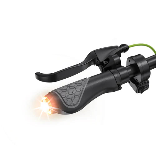 isinwheel S10Plus 750W Electric Scooter isinwheel S10Plus 750W Electric Scooter