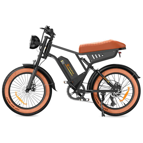 isinwheel R6 1000W Retro Electric Bike isinwheel R6 1000W Retro Electric Bike