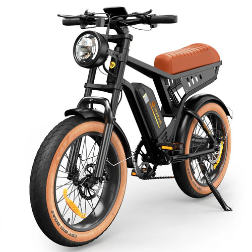 isinwheel R6 1000W Retro Electric Bike isinwheel R6 1000W Retro Electric Bike