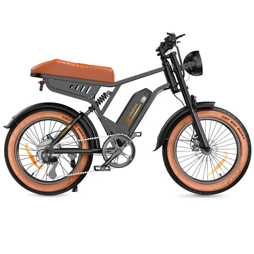 isinwheel R6 1000W Retro Electric Bike isinwheel R6 1000W Retro Electric Bike