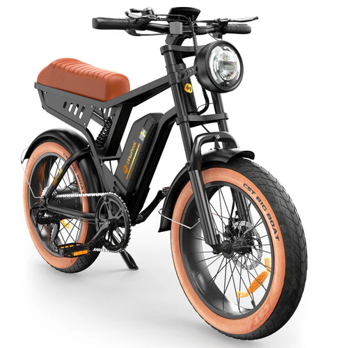 isinwheel R6 1000W Retro Electric Bike isinwheel R6 1000W Retro Electric Bike