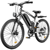 isinwheel M50 Mountain Electric Bike