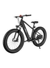EcoRide One - By GreenPulse Mobility