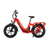 Cyke Family Series Collie Cargo Electric Bike