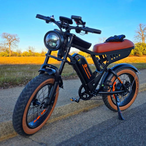isinwheel R6 1000W Retro Electric Bike isinwheel R6 1000W Retro Electric Bike
