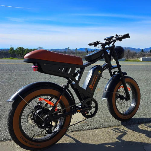 isinwheel R6 1000W Retro Electric Bike isinwheel R6 1000W Retro Electric Bike