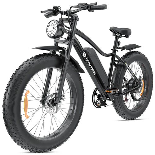 isinwheel M10Plus Electric Bike