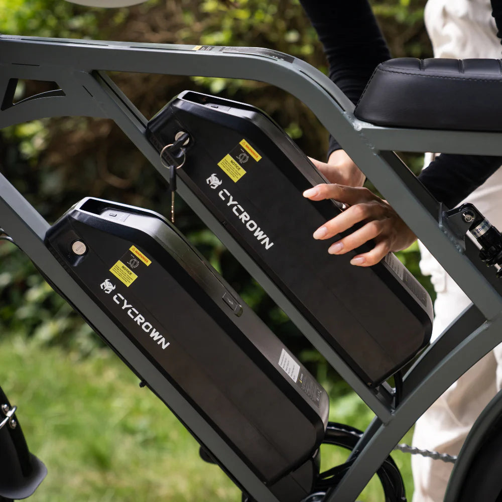 Cycrown CycHunter Moped-Style Ebike