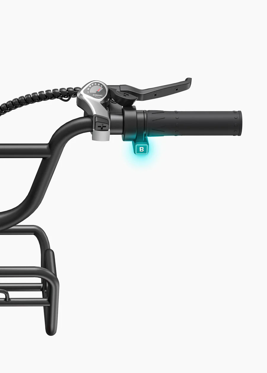 Engwe L20 Boost 250W 126KM Range Torque Sensor Electric Fat Bike with a Boost Button