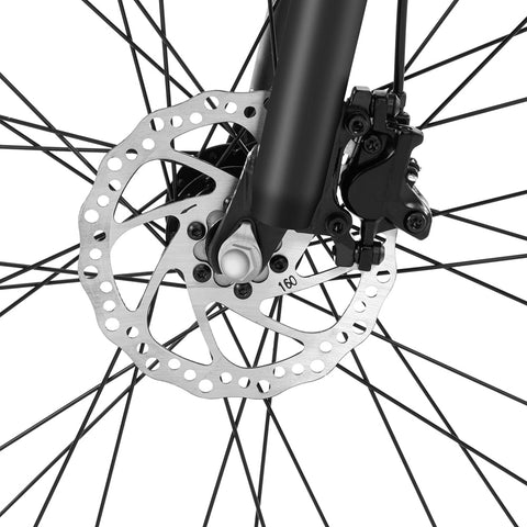 Foride Xtremer 2 Mountain Electric Bike