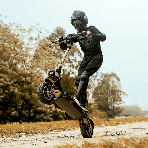 Circooter Cruiser Pro Electric Scooter
