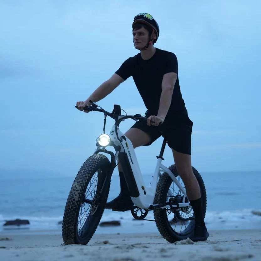 Cycrown CycVerve Fat Tire Ebike