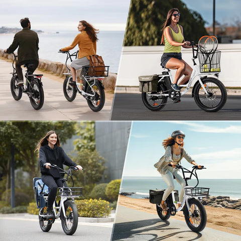 isinwheel U7 Cargo Bike