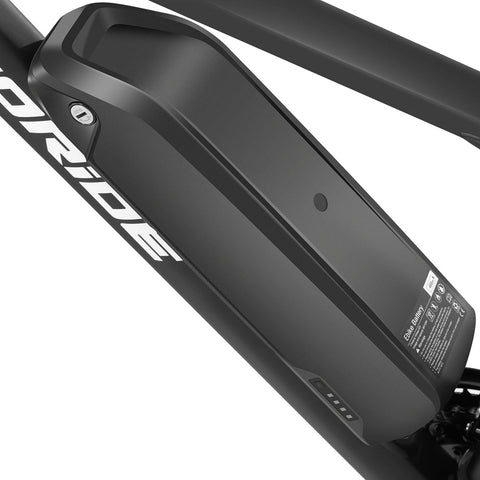 Foride Xtremer 1 Mountain Electric Bike