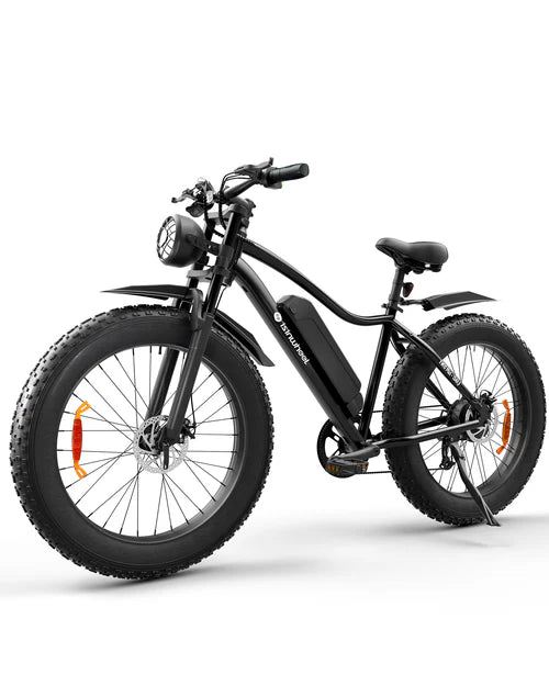 isinwheel M10Plus Electric Bike