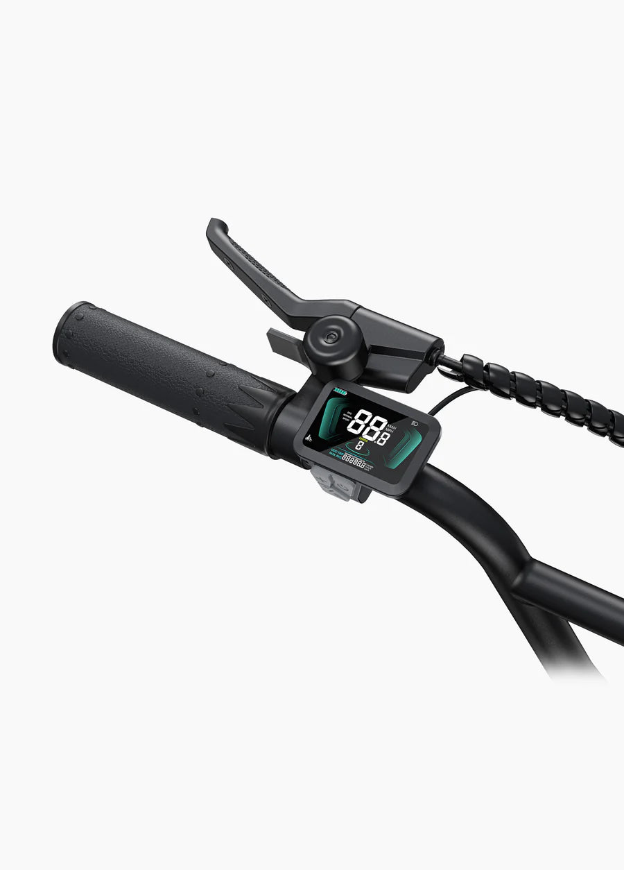 Engwe L20 Boost 250W 126KM Range Torque Sensor Electric Fat Bike with a Boost Button