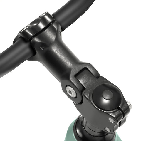 Foride Roamer 1 Commuter Step-Thru Electric Bike