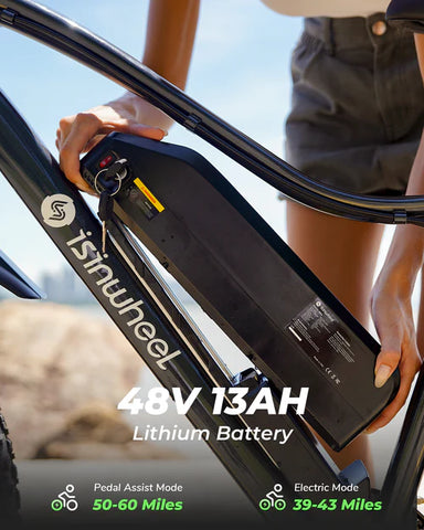 isinwheel M10Plus Electric Bike