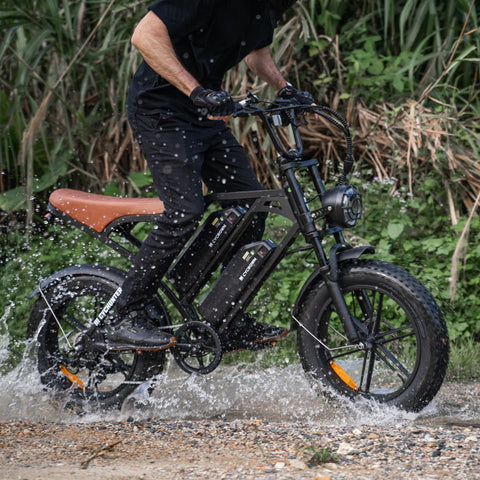 Cycrown CycHunter Moped-Style Ebike