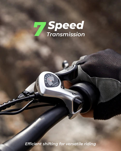 isinwheel M10Plus Electric Bike