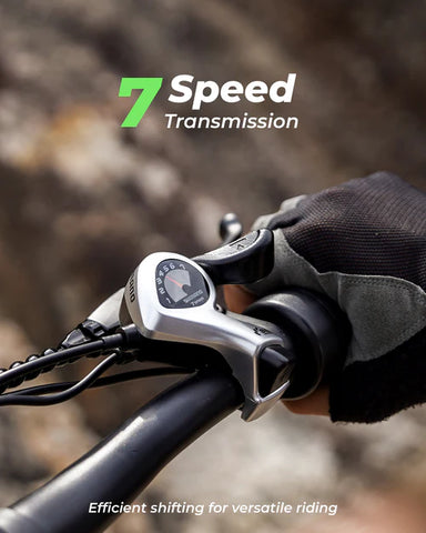 isinwheel M10Plus Electric Bike