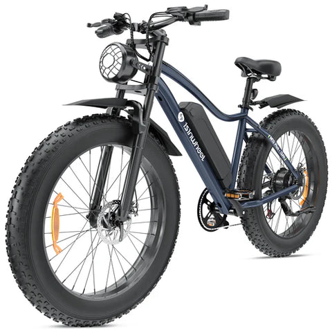 isinwheel M10Plus Electric Bike