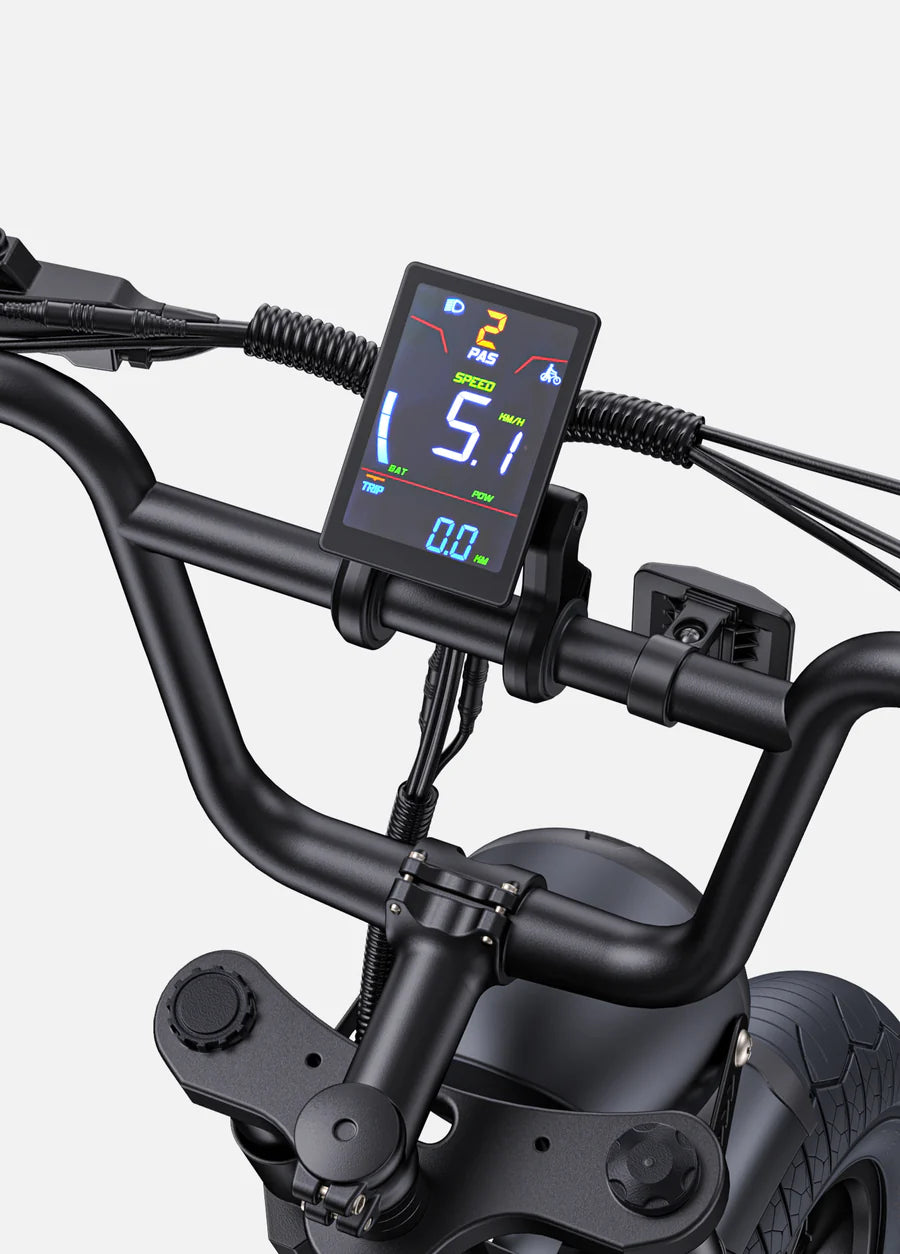 Engwe M1 EU-Standard 65Nm Torque Motorcycle-styled E-Bike