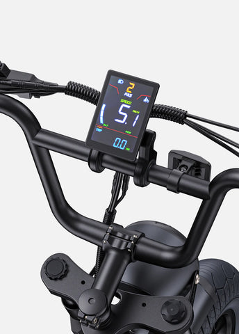 Engwe M1 EU-Standard 65Nm Torque Motorcycle-styled E-Bike