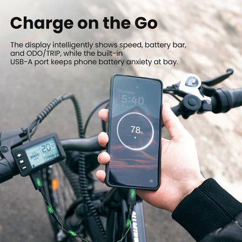 isinwheel M50 Mountain Electric Bike