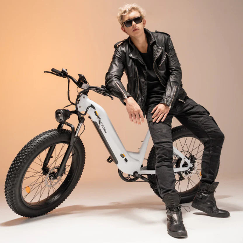 Cycrown CycVerve Fat Tire Ebike