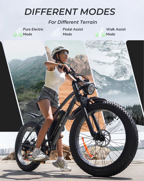 isinwheel M10Plus Electric Bike