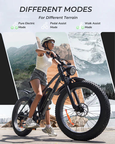 isinwheel M10Plus Electric Bike