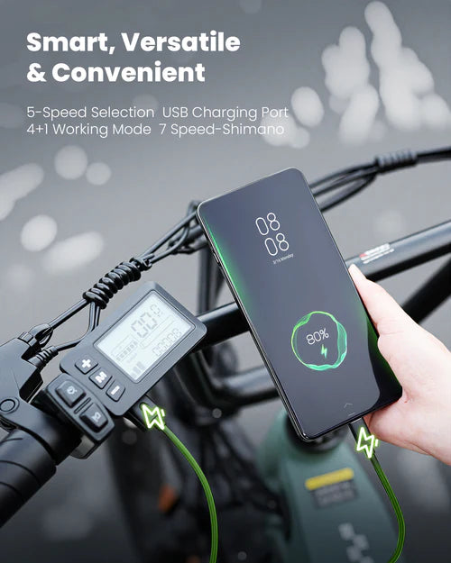 isinwheel U8 Pro Electric Bike for Adults