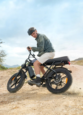 Engwe M1 EU-Standard 65Nm Torque Motorcycle-styled E-Bike