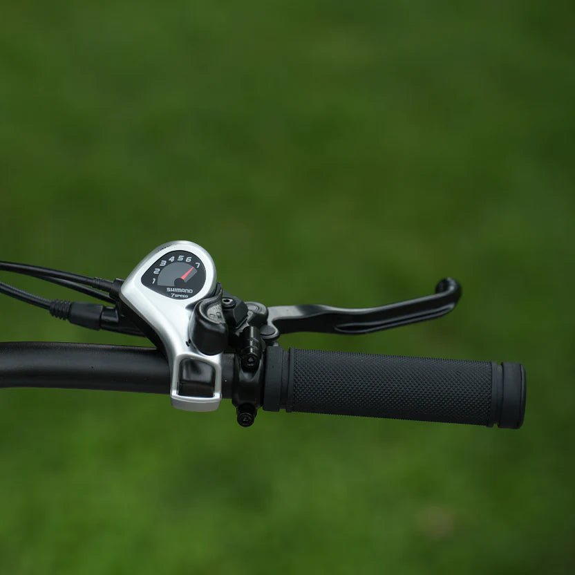 Cycrown CycVerve Fat Tire Ebike