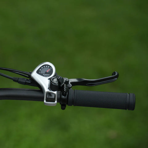 Cycrown CycVerve Fat Tire Ebike