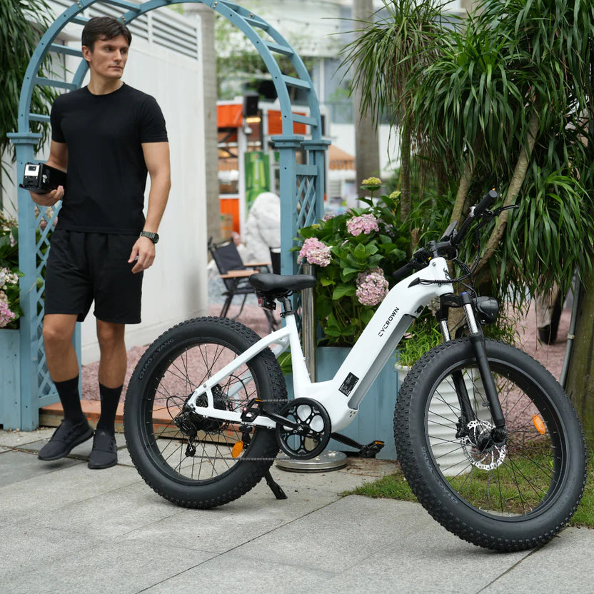 Cycrown CycVerve Fat Tire Ebike