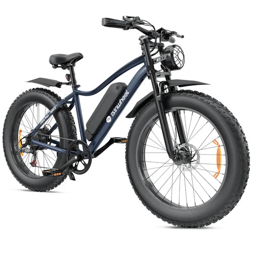 isinwheel M10Plus Electric Bike