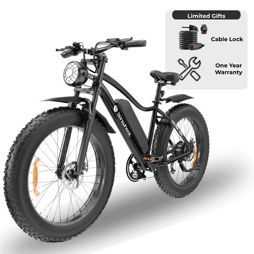 isinwheel M10Plus Electric Bike