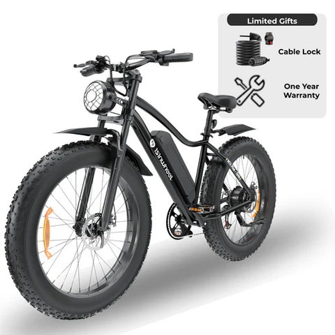 isinwheel M10Plus Electric Bike
