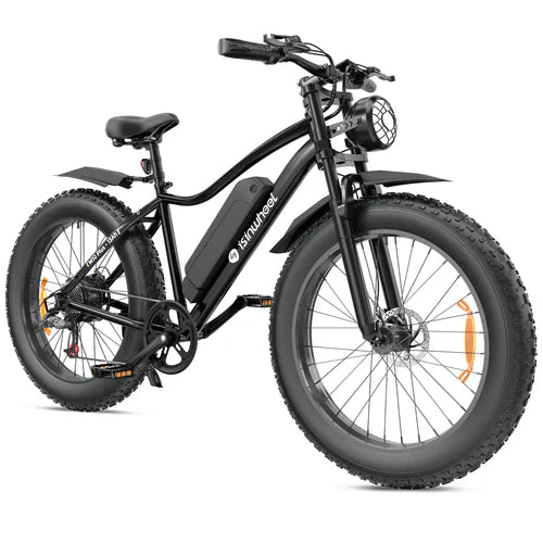 isinwheel M10Plus Electric Bike