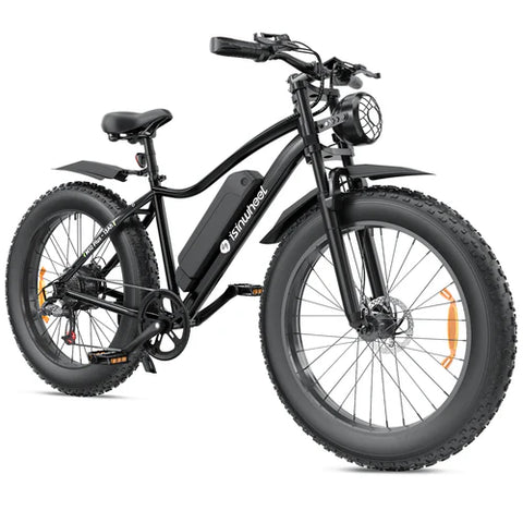 isinwheel M10Plus Electric Bike