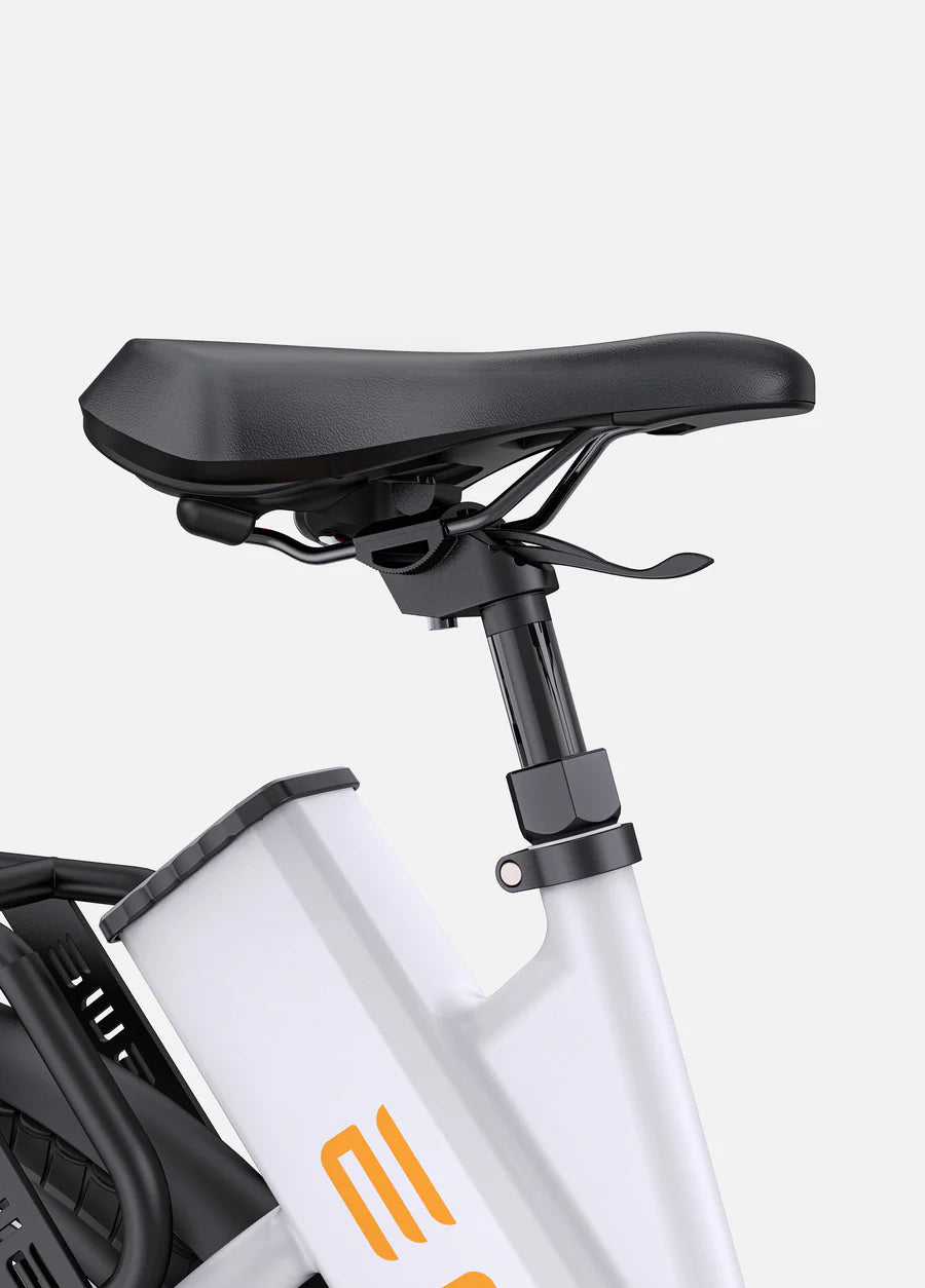 Engwe P275 ST 250W Ananda Mid-drive Motor 70NM Torque Step Thru Urban E-Bike
