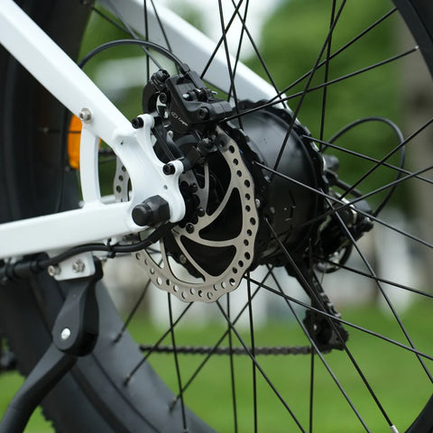 Cycrown CycVerve Fat Tire Ebike