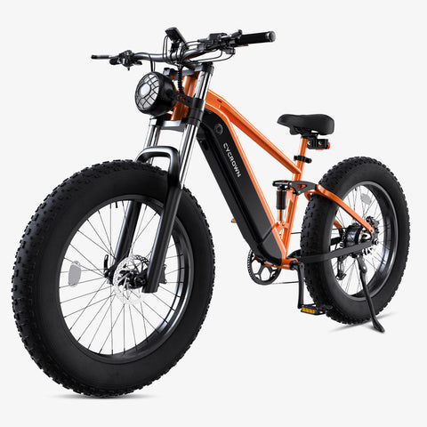 Cycrown CycUltra All-terrain Ebike