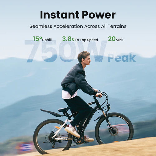isinwheel M50 Mountain Electric Bike