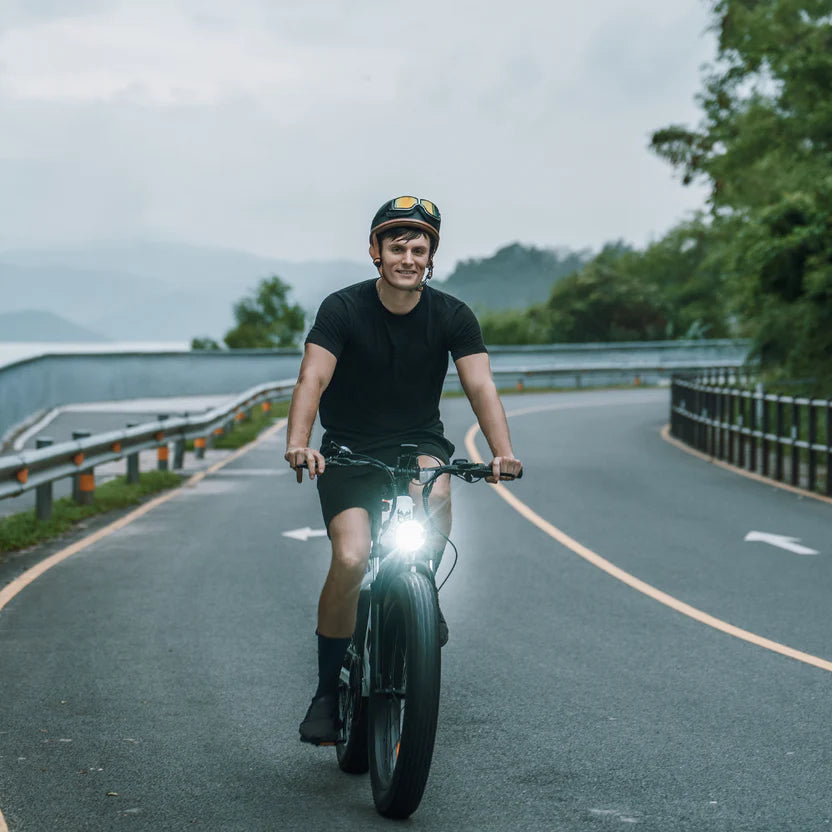 Cycrown CycVerve Fat Tire Ebike