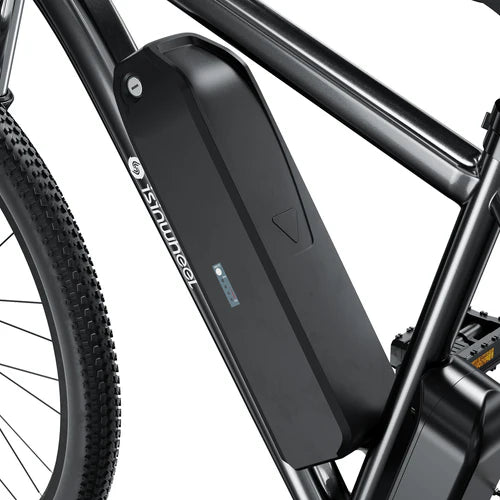 isinwheel M10 500W Electric Commuter Bike