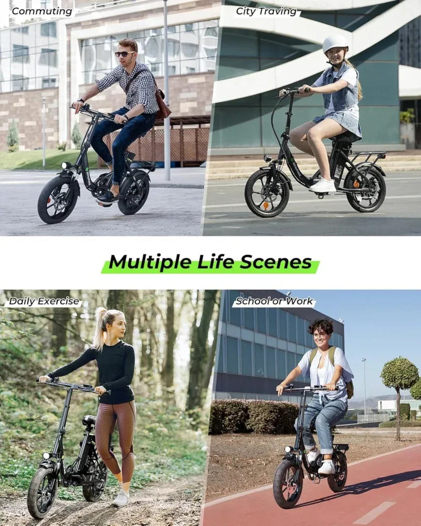 isinwheel U4 Electric Bike for Adults